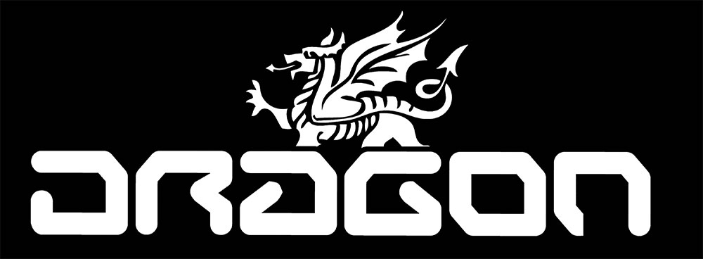Dragon archival artist image