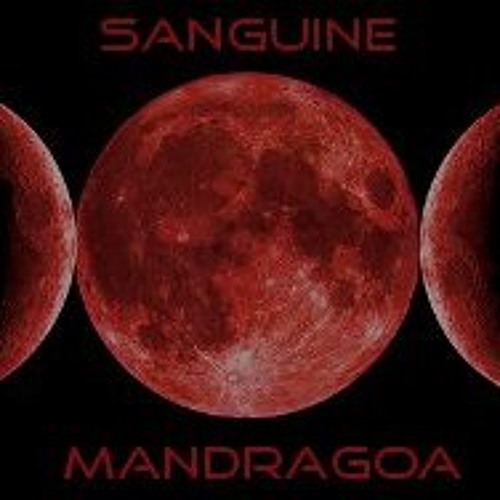 Sanguine Mandragoa archival artist image