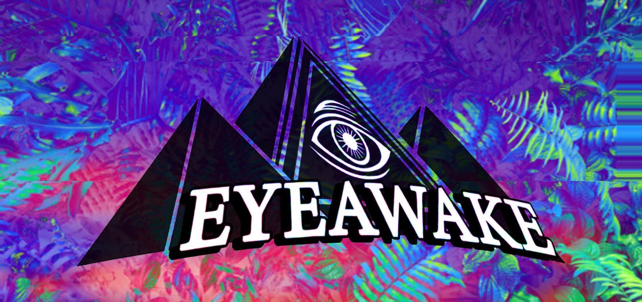 EyeAwake archival artist image