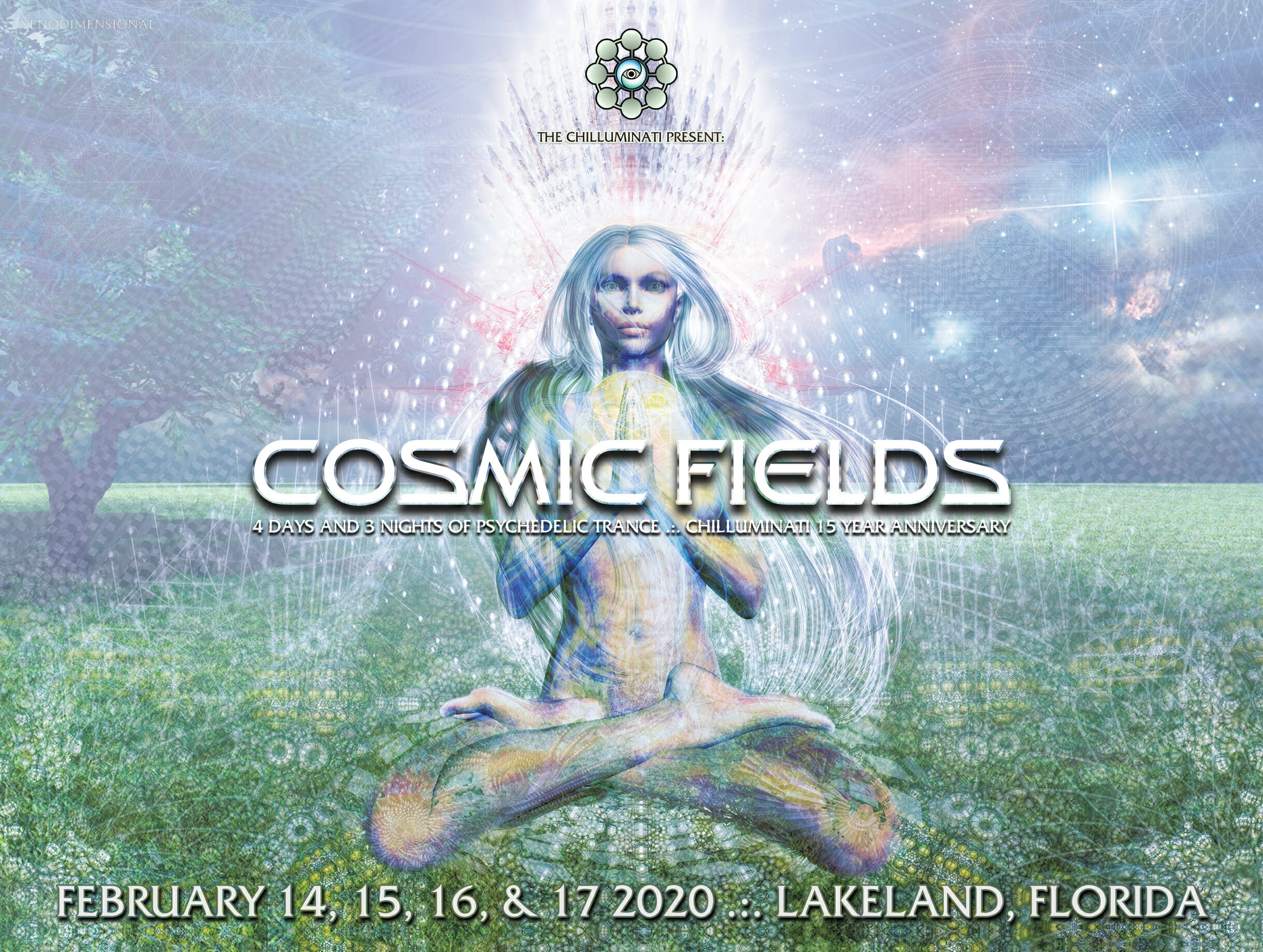 Cosmic Fields